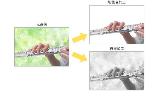 リサイタル・演奏会加工