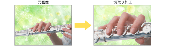 リサイタル・演奏会加工2