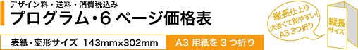 演奏会・リサイタルプログラムP６_A3